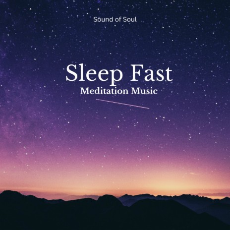Sleep Fast | Boomplay Music