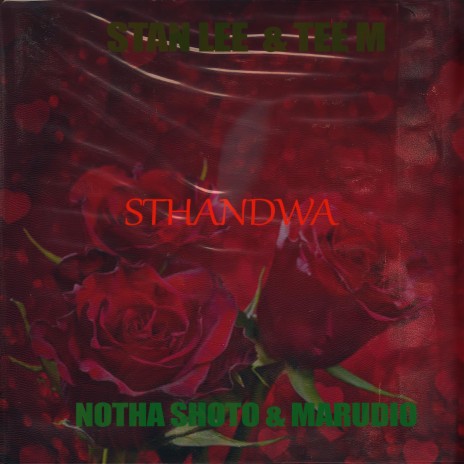 Sthandwa ft. Tee M, Notha Shoto & Marudio | Boomplay Music