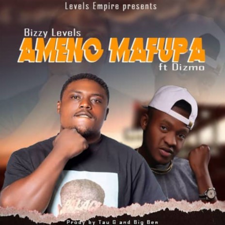 Bizzy Levels Ameno Mafupa ft. Dizmo