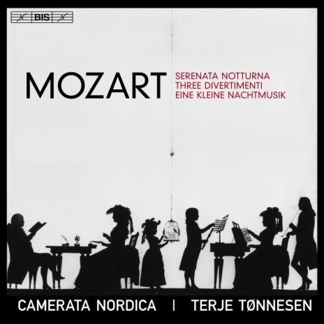 Serenade No. 13 in G Major, K. 525 Eine kleine Nachtmusik: IV. Rondo. Allegro ft. Terje Tønnesen | Boomplay Music