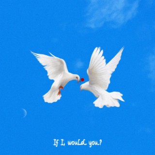 If I, Would You? lyrics | Boomplay Music