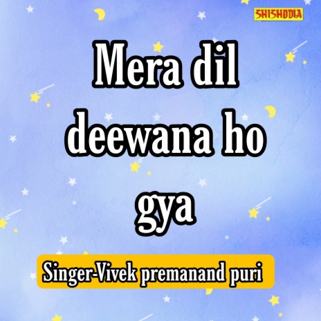 Mera Dil Deewana Ho Gya | Boomplay Music