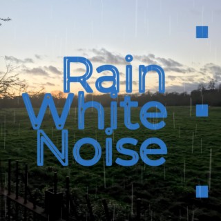 12 Hours Rain White Noise For Sleep, Study, Relaxation