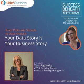 EP17: Your Data Story is Your Business Story