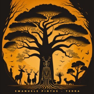 Baobab lyrics | Boomplay Music