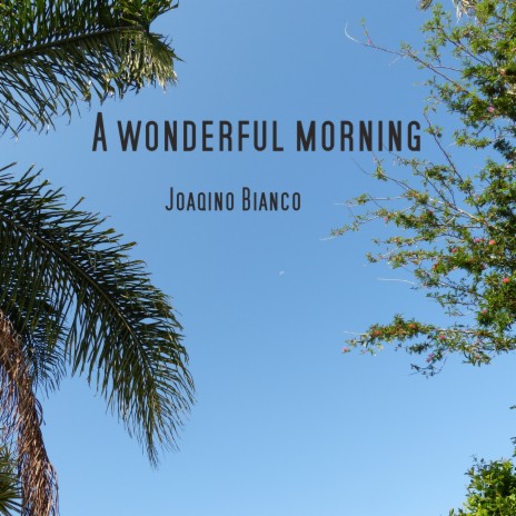 A Wonderful Morning | Boomplay Music