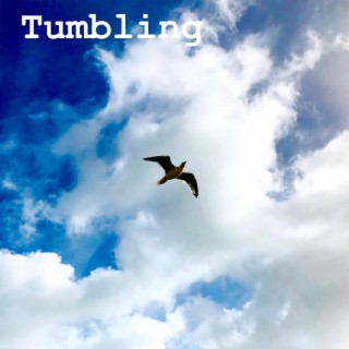 Tumbling lyrics | Boomplay Music