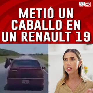 CABALLO EN RENAULT 19