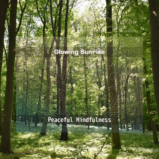 Peaceful Mindfulness