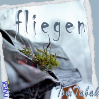 Fliegen