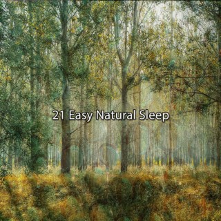 !!!! 21 Easy Natural Sleep !!!!