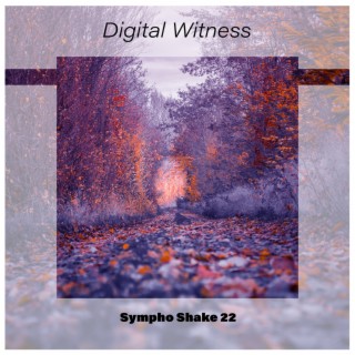 Digital Witness Sympho Shake 22