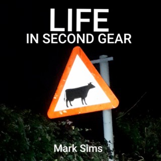 Life in Second Gear