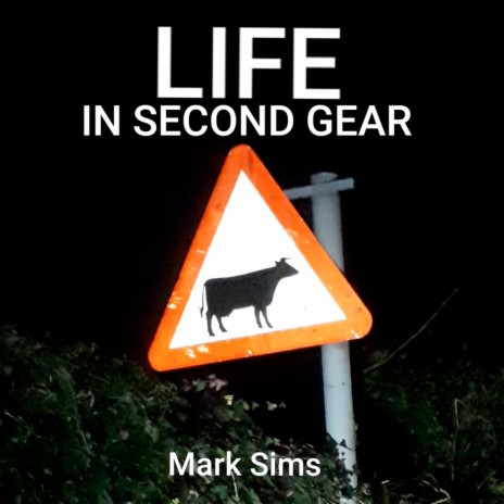 Life in Second Gear