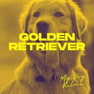 Golden Retriever: Sunny Day Symphonies for Furry Friends