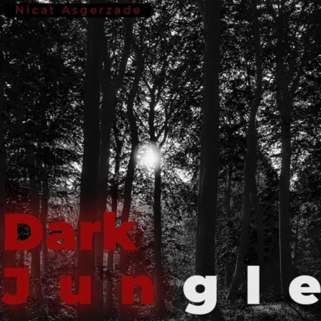 Dark Jungle | Boomplay Music