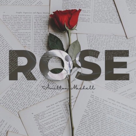 Rose | Boomplay Music