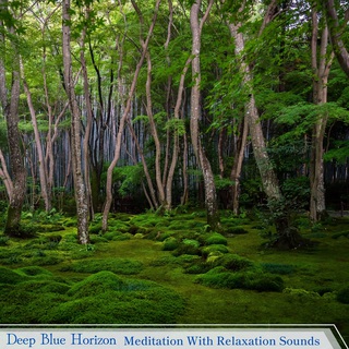 Meditation With Relaxation Sounds