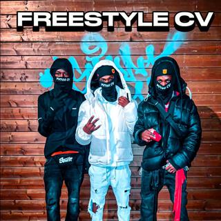 Freestyle cv