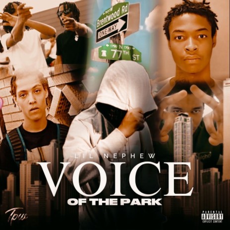 Voice Of The Park