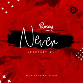 Never (Freestyle)