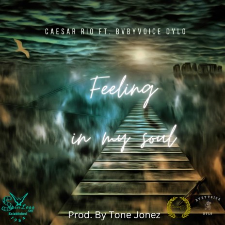 Feeling in my soul ft. Bvbyvoice Dylo | Boomplay Music