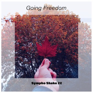 Going Freedom Sympho Shake 22