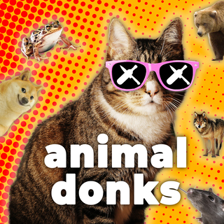 Animal Donks