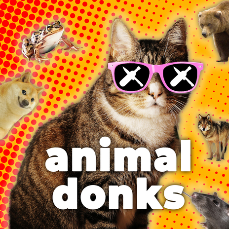 Animal Donks | Boomplay Music