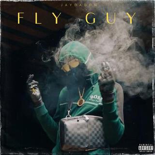 Fly Guy