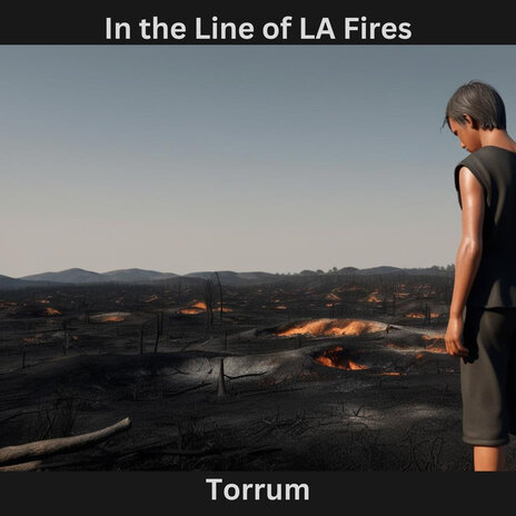 In the Line of LA Fires | Boomplay Music