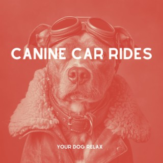 Canine Car Rides: Better Road Trip