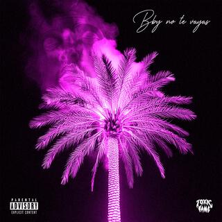 Bby no te vayas ft. Rip Jorge Msc, Apolo WRLD, As On Fire & Jey issues lyrics | Boomplay Music