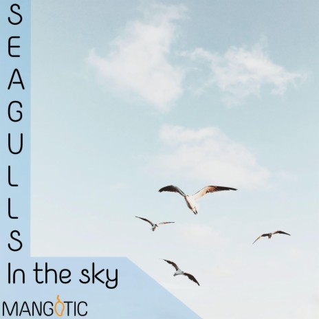 Seagulls in the sky | Boomplay Music