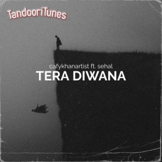 Tera Diwani (ReFix)