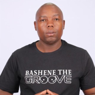 Bashene The Groove