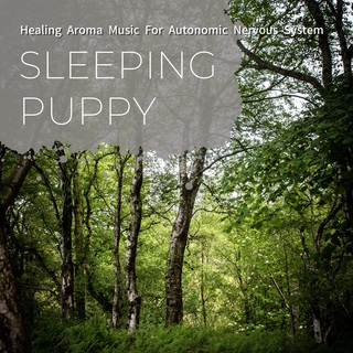 Healing Aroma Music For Autonomic Nervous System