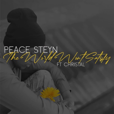 The World Won't Satisfy ft. Christal | Boomplay Music
