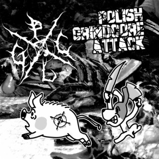 Polish Grindcore Attack