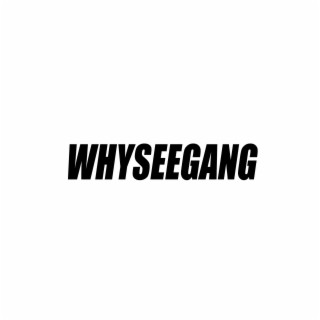 WHYSEE BEATS, Vol. 1