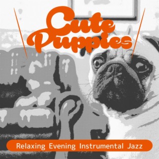 Relaxing Evening Instrumental Jazz