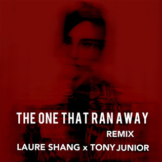 The One That Ran Away （Tony Junior Remix）