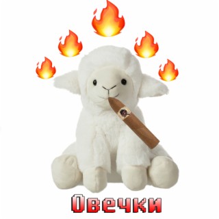 Овечки