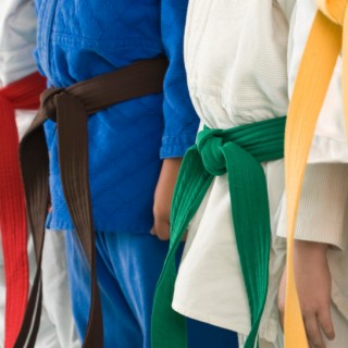 Jed Anthony Ariens | Exploring The Symbolism Of Martial Arts Belts
