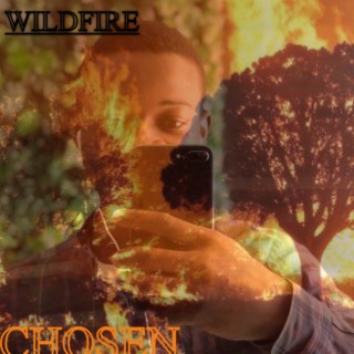 Wildfire