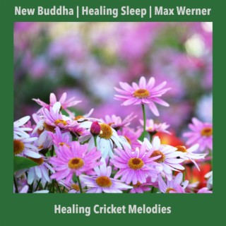 Healing Cricket Melodies