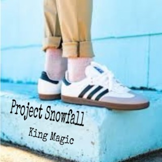 Project Snowfall