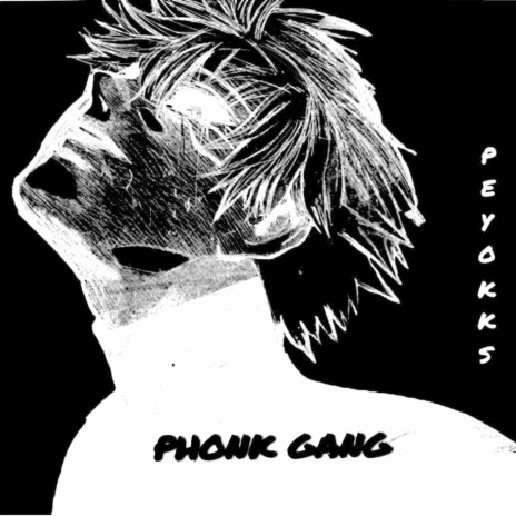 PHONK GANG | Boomplay Music