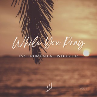 While You Pray, Vol. 2