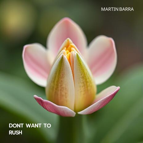 Dont want to rush | Boomplay Music